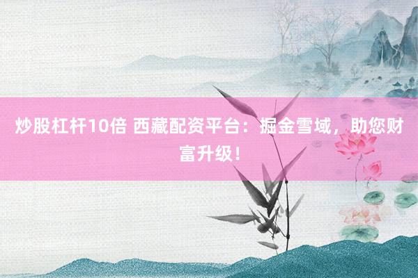 炒股杠杆10倍 西藏配资平台：掘金雪域，助您财富升级！