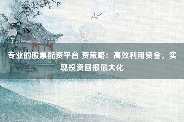 专业的股票配资平台 资策略：高效利用资金，实现投资回报最大化
