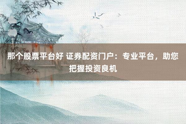 那个股票平台好 证券配资门户：专业平台，助您把握投资良机