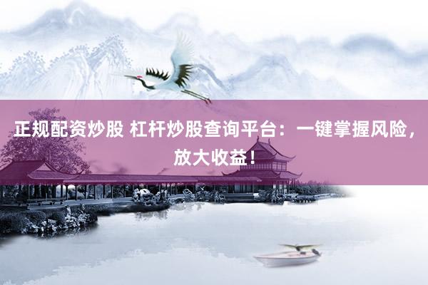 正规配资炒股 杠杆炒股查询平台：一键掌握风险，放大收益！