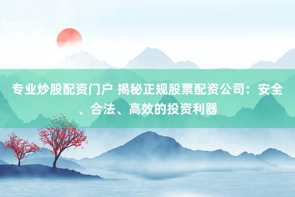 专业炒股配资门户 揭秘正规股票配资公司：安全、合法、高效的投资利器