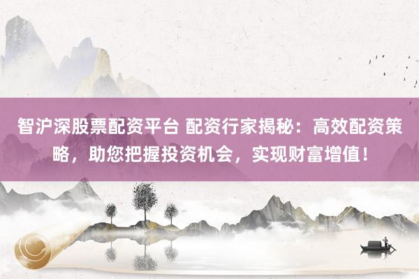 智沪深股票配资平台 配资行家揭秘：高效配资策略，助您把握投资机会，实现财富增值！