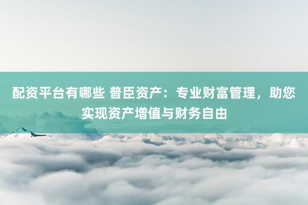 配资平台有哪些 普臣资产：专业财富管理，助您实现资产增值与财务自由