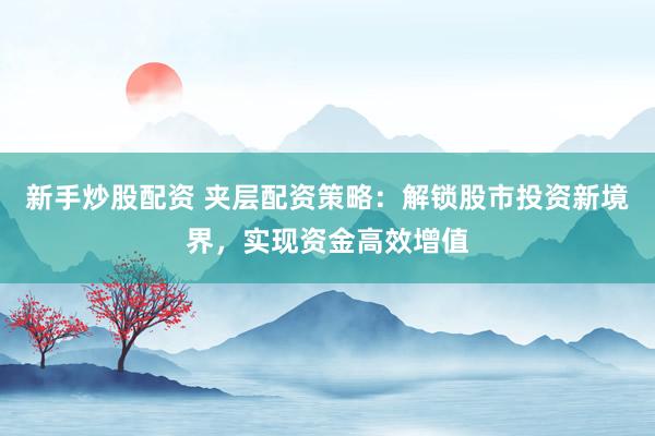 新手炒股配资 夹层配资策略：解锁股市投资新境界，实现资金高效增值