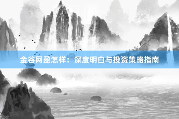 金谷网盈怎样:深度明白与投资策略指南