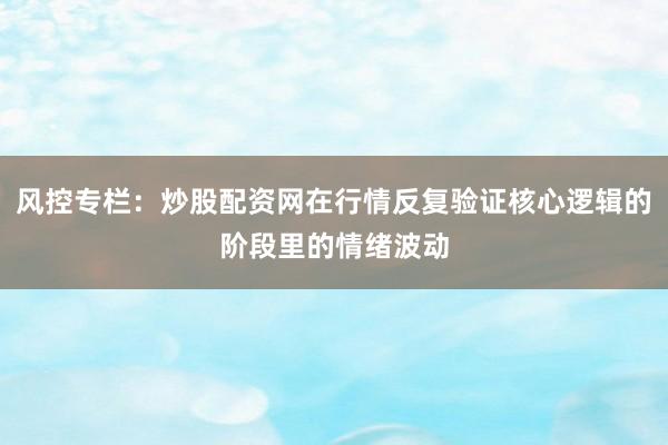 风控专栏:炒股配资网在行情反复验证核心逻辑的阶段里的情绪波动