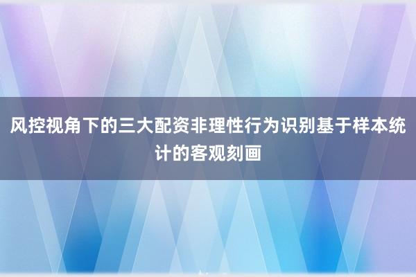 风控视角下的三大配资非理性行为识别基于样本统计的客观刻画