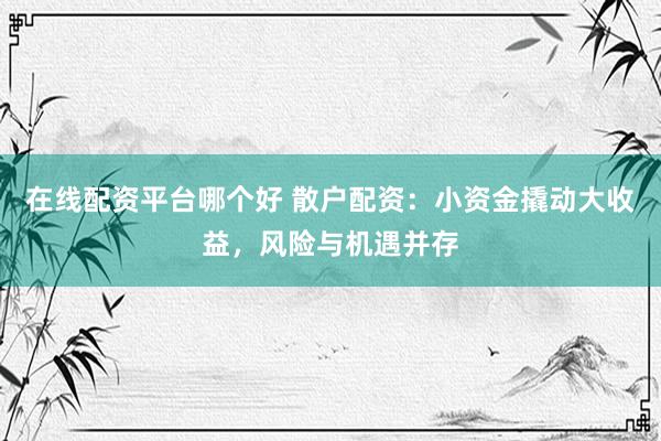 在线配资平台哪个好 散户配资：小资金撬动大收益，风险与机遇并存